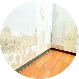 雨漏りを包囲するとカビやシロアリが発生